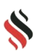 Emerald DT Services logo